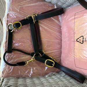 Leather Horse Halter And Chain Lead